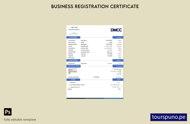 listo para imprimir plantilla de plantilla de Word y PDF de licencia de servicio